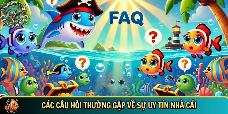Câu Hỏi Thường Gặp Bắn Cá Đổi Thưởng 1 Tổng hợp các câu hỏi thường gặp về sự uy tín của nhà cái bắn cá đổi thưởng - webbancadoithuongcom