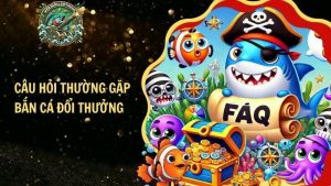 Câu Hỏi Thường Gặp Bắn Cá Đổi Thưởng: Giải Đáp Chi Tiết​ - webbancadoithuongcom