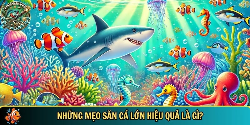 Mẹo Săn Cá Lớn – Bí Quyết Bắn Cá Đổi Thưởng Hiệu Quả 2 Tổng hợp các mẹo săn cá lớn hiệu quả