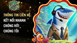 Thông tin liên hệ với chúng tôi