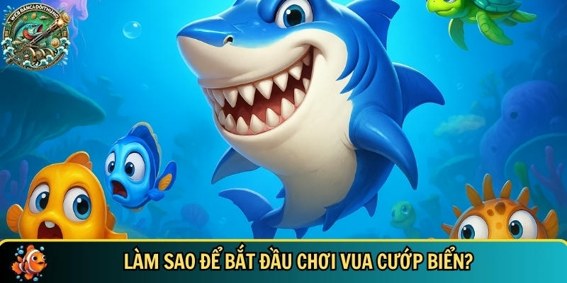Vua Cướp Biển: Game Bắn Cá Đổi Thưởng Hấp Dẫn Hiện Nay 2 Quy trình chi tiết bắt đầu chơi được vua cướp biển