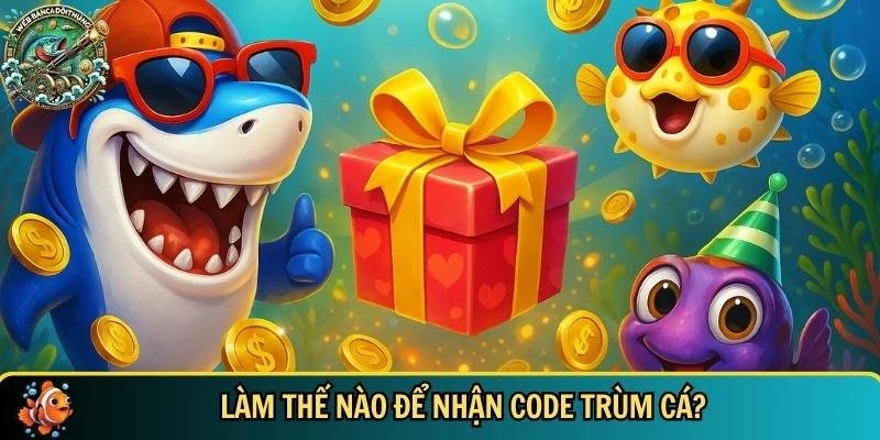Code Trùm Cá Mới Nhất 2025 – Nhận Quà Hấp Dẫn Ngay! 2 Hướng dẫn cách nhận được code trùm cá