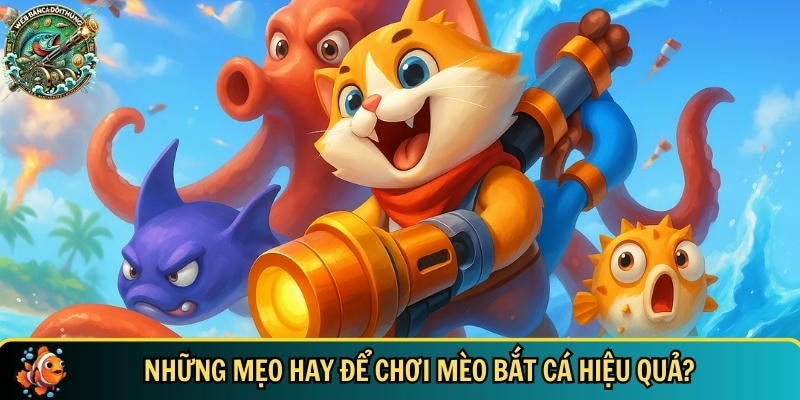 Mèo Bắt Cá: Trò Chơi Bắn Cá Online Đáng Yêu Và Thư Giãn 3 Khám phá những mẹo hay chơi mèo bắt cá cho tân thủ